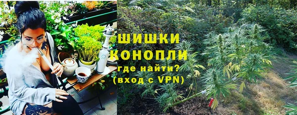 амф Балахна