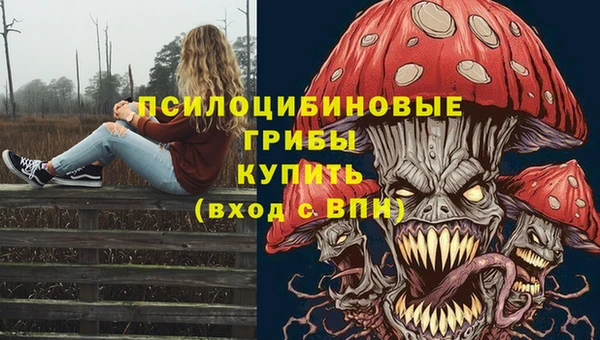 сатива Белокуриха