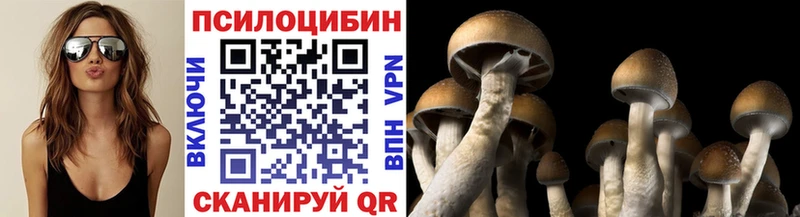 Галлюциногенные грибы GOLDEN TEACHER  Кремёнки 